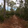 Flatwoods trail