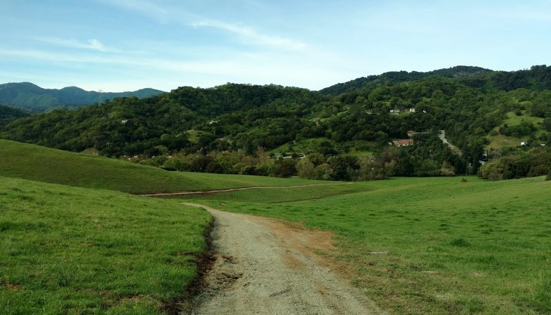 The historic village of New Almaden nestled in the wooded hills below, as seen from Almaden Trail. The Santa Cruz Mountains are on the left in the distance.