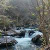 Virginia Creeper trail.