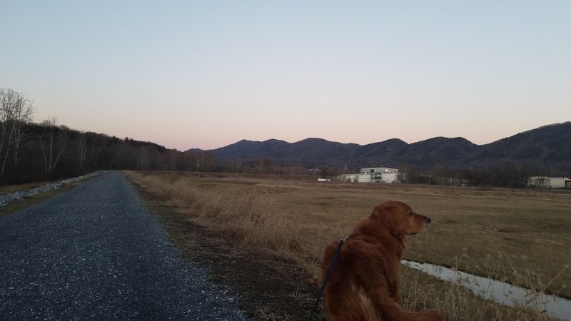 The southern end of the Maury River Walk. Beautiful Views all along the path.