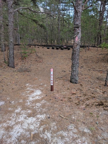 Batona Trail Crossing Train Tracks