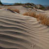 On a still day you'll be able to observe animal tracks all over the sand dunes!