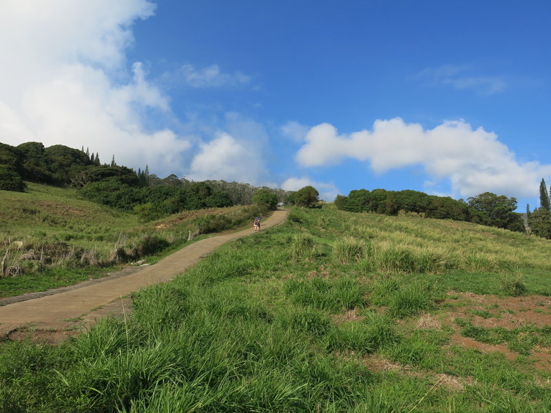 Cement road at the trailhead