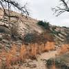 Beginning of Echo Canyon trail, southbound (February).