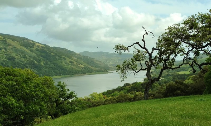 Coyote Lake and the hills east of the lake are seen from high on Coyote Ridge Trail.