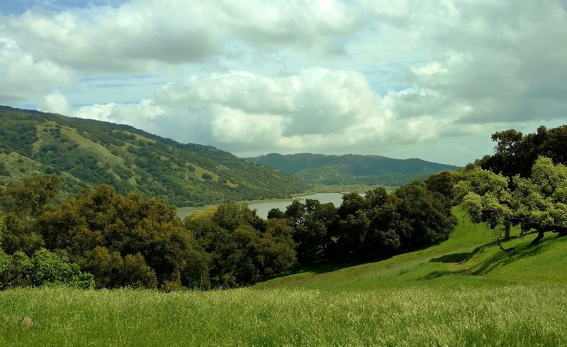 Coyote Lake comes into view at the high point of Willow Springs Trail.