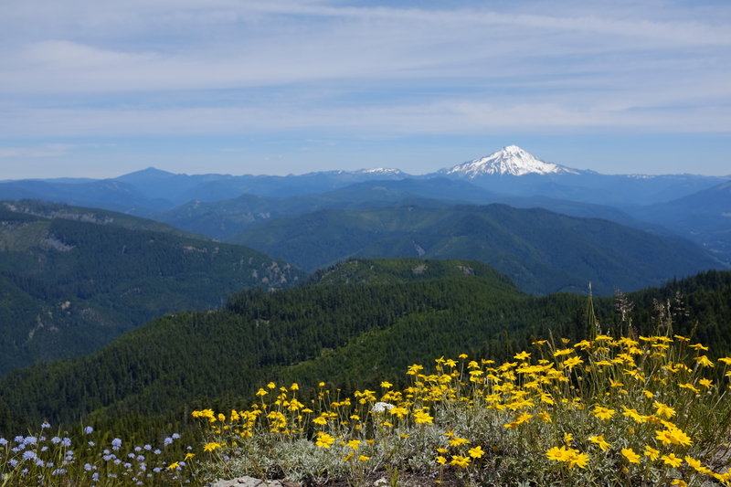 View of Mt Jefferson from Elephant Rock