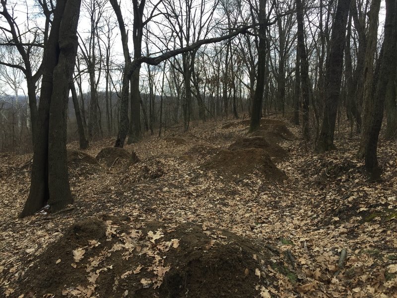 Old dirt jump track