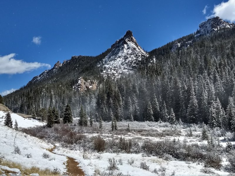 Snow flurries being whisked up by wind towards the forest