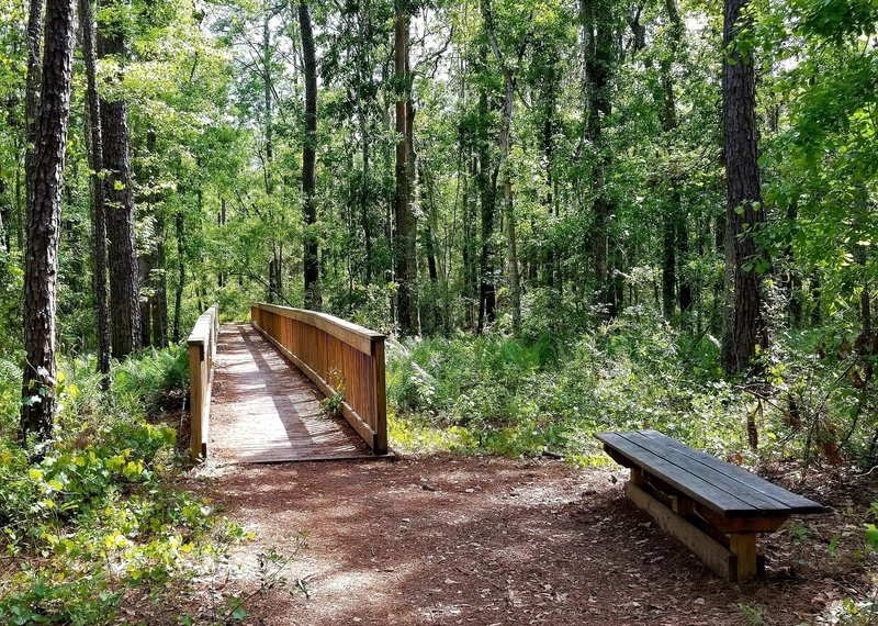 Boardwalk that connects the white and blue trails. It's about 1.5 mile in, so the bench comes in handy if you want to rest.