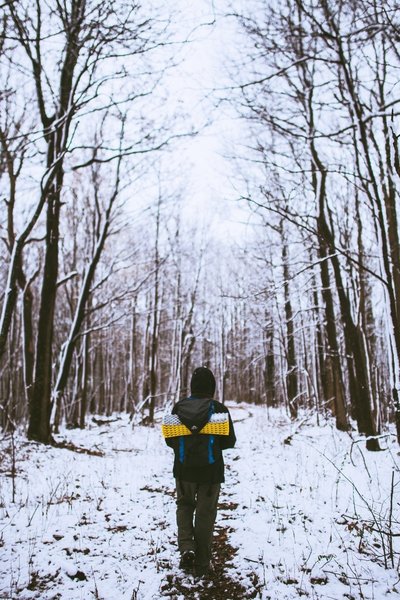 Snow covered trails  -  Chestnut Ridge Heritage Preserve