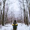 Snow covered trails  -  Chestnut Ridge Heritage Preserve