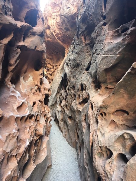 The narrows just off the main trail in a small slot canyon