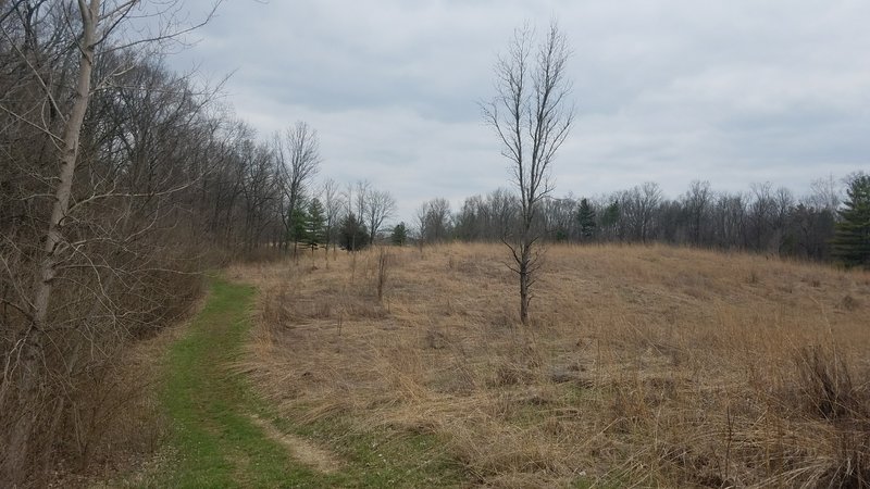 Looking back down the trail