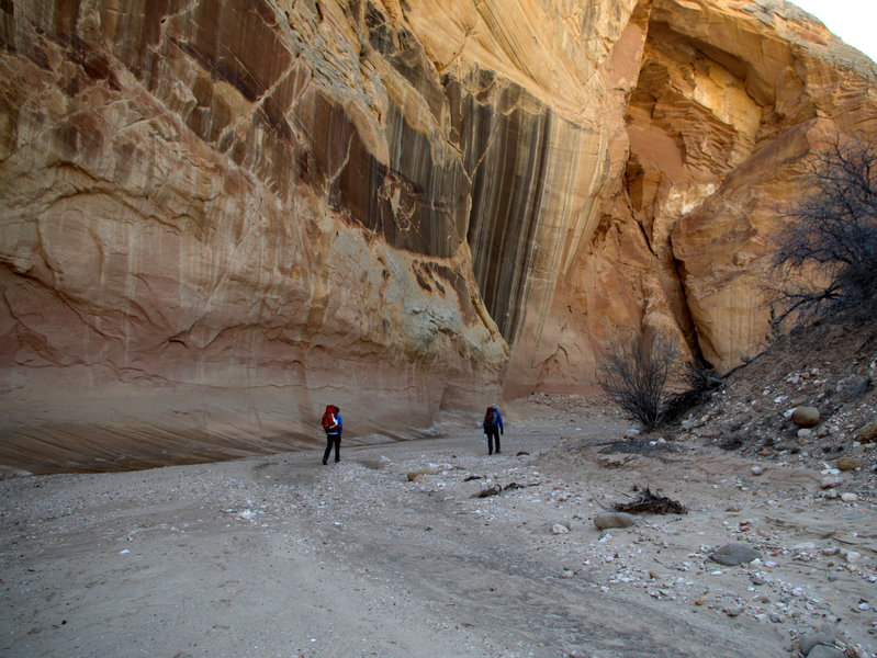 Continuing down Sheep Creek