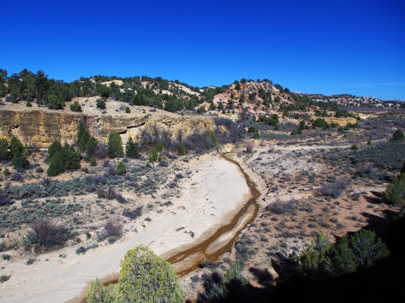 The Sheep Creek trailhead from the old ranch road