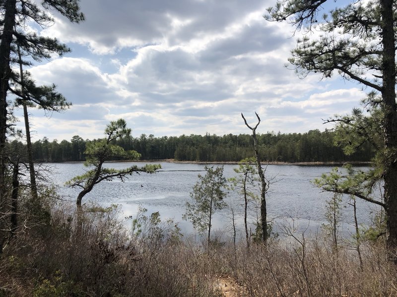 A view of Batsto Lake