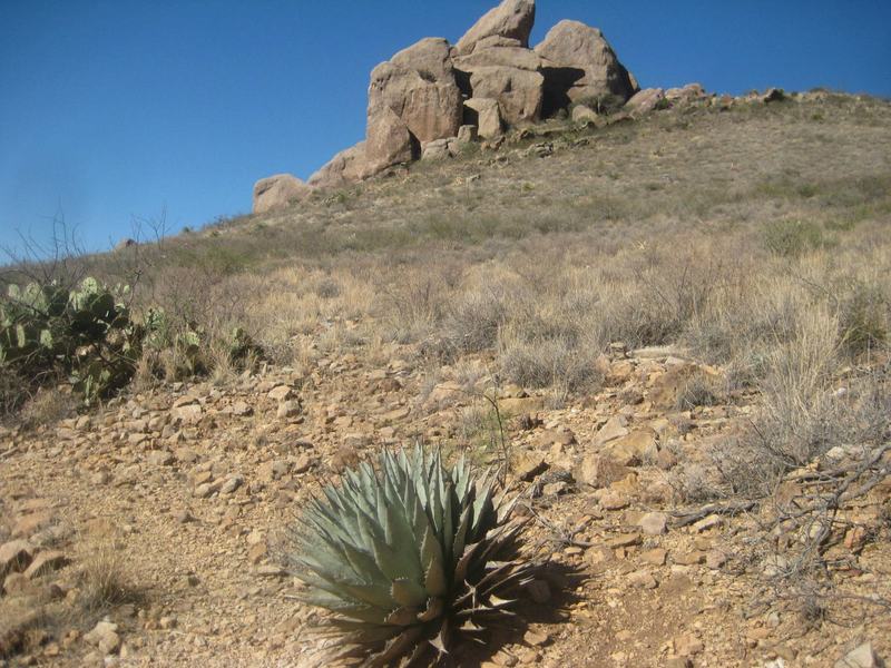 The trail in the winter.