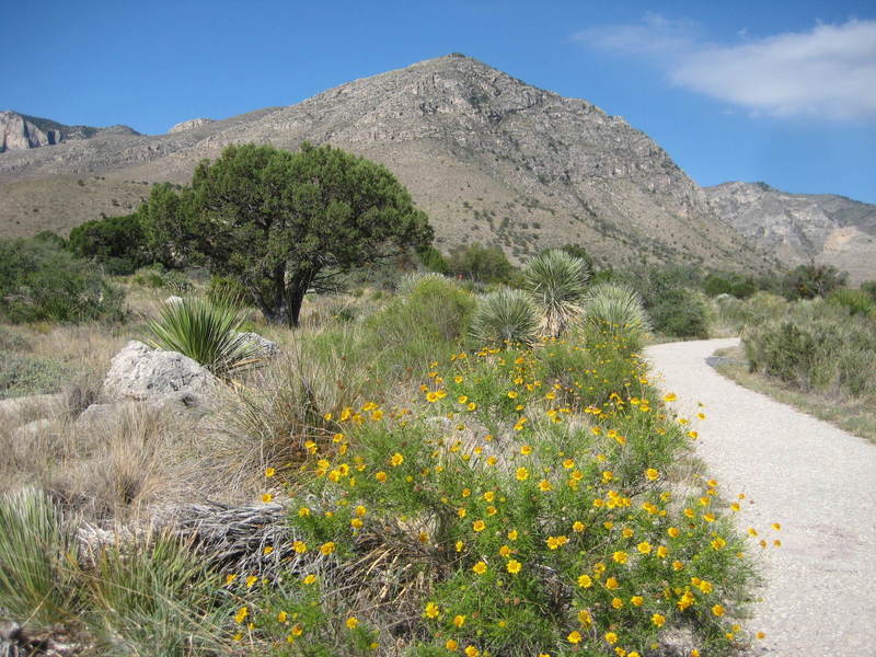 Walking east on the trail