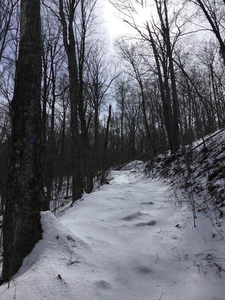 steep trail to summit