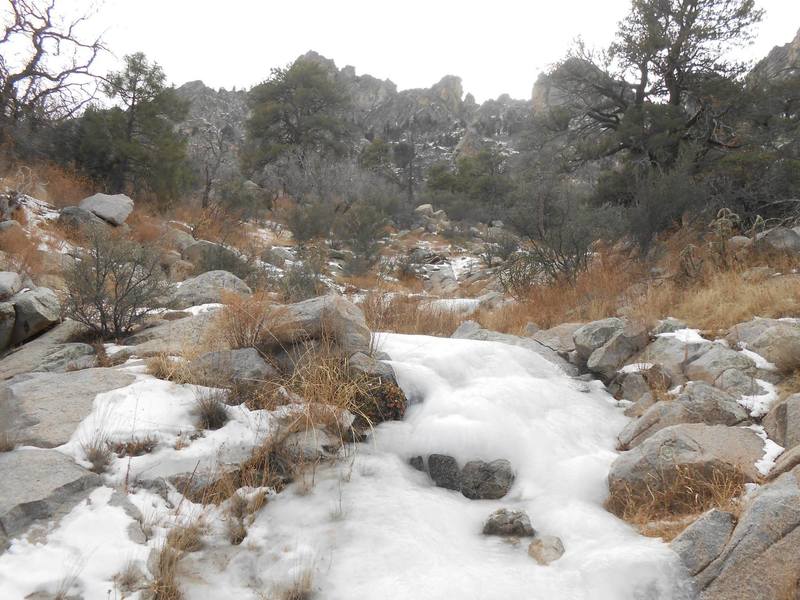 The trail during the winter.