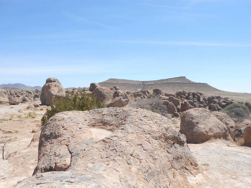 Looking east from the trail