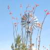 Windmill and start of trail