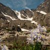 Columbines before the Lake of Glass