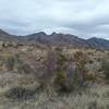 View of the Organ Mountains