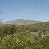 View of Franklin Mountains from the trail.