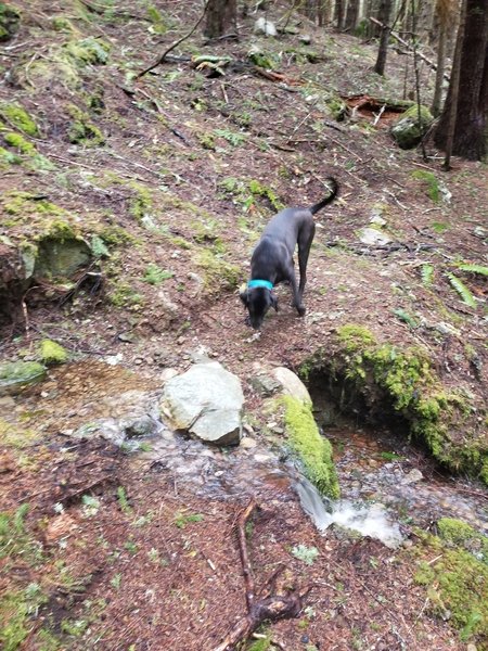 On the way up, one of the water crossings