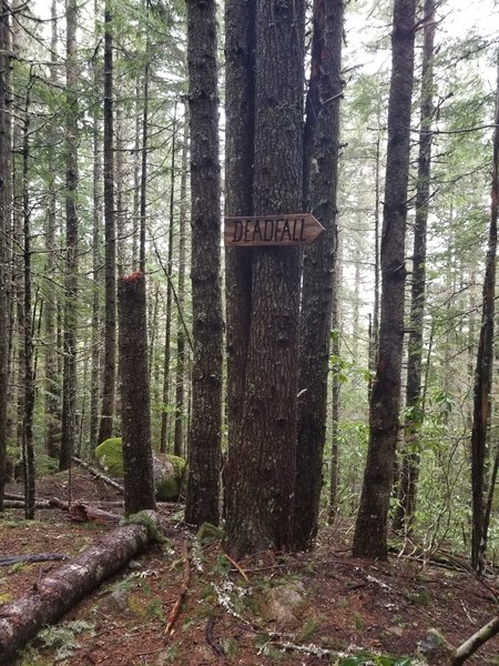 Trail marking at the fork