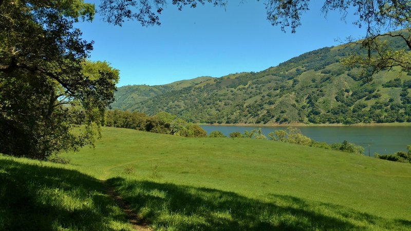 Ohlone Trail heads down to Coyote Lake.