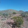 Looking North on the trail.