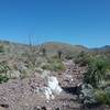 Looking North on the trail.