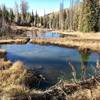 Shingle lake trail