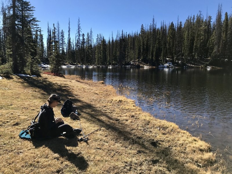 Shingle lake shoreline