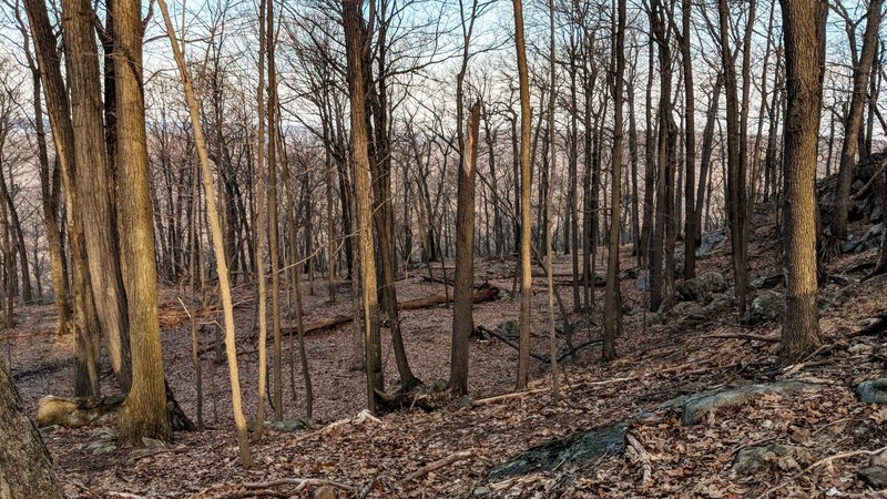 Early morning on the Appalachian Trail in Harriman State Park, NU