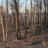 Early morning on the Appalachian Trail in Harriman State Park, NU