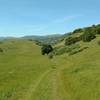 Grass hills dotted with oak trees and bushes go on forever along Mendoza Trail.