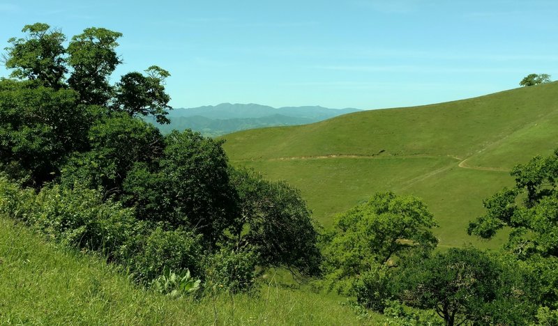 The hills in April of Coyote Lake - Harvey Bear Ranch County Park, with the Santa Cruz Mountains in the distance, seen from Mummy Mountain Trail.