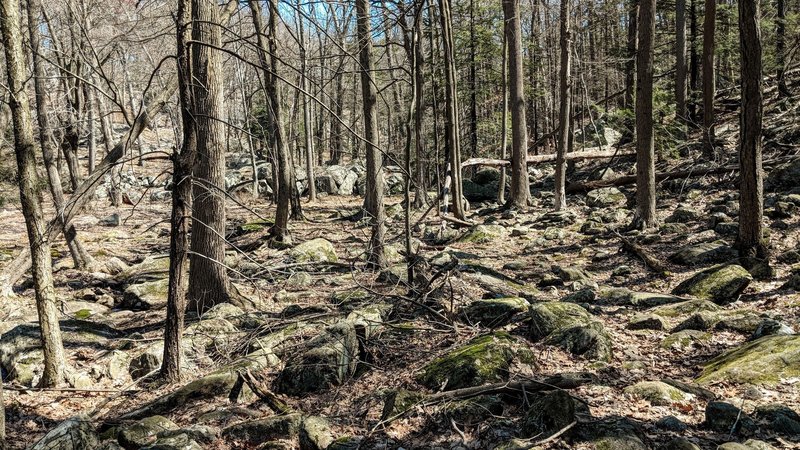 A small section of the "Valley of the Boulders" in Harriman State Park.
