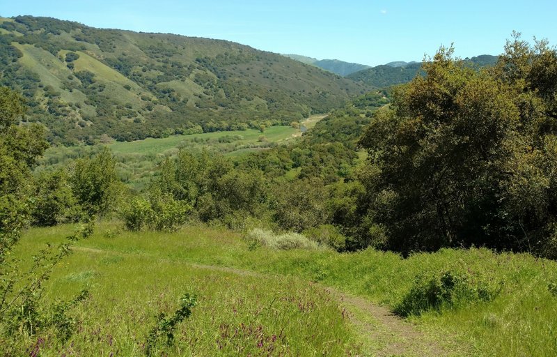 Coyote Creek, below, flows into Coyote Lake, from the southeast, seen from high on Mummy Mountain Trail.