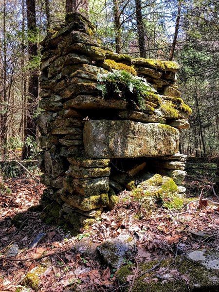 The only remnant of an old homestead