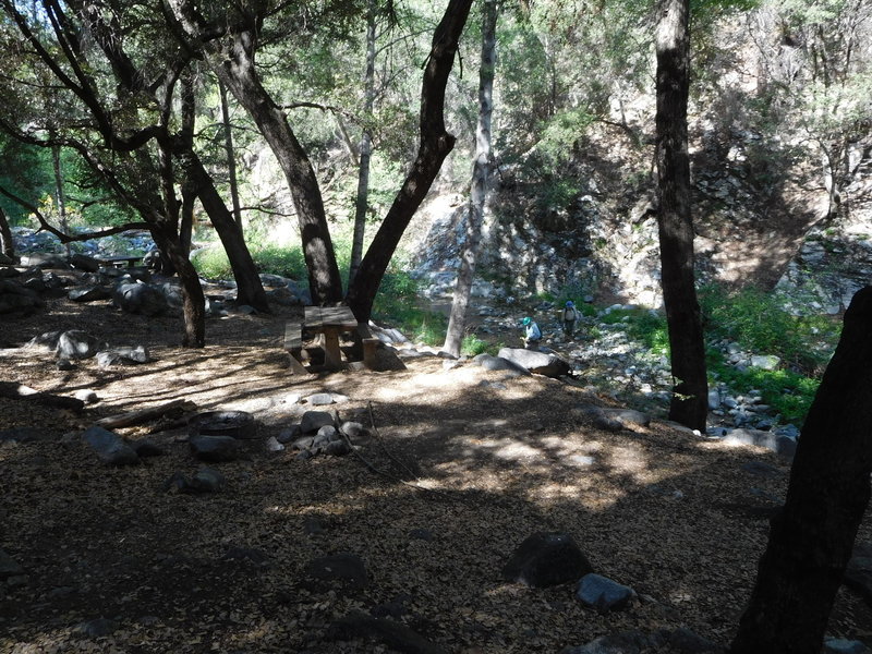 Shady West Fork Trail camp next to river.