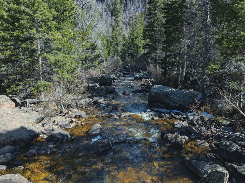 River view on a bridge