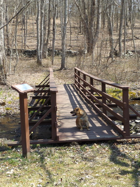 Two very nice wooden bridges (dog not included)