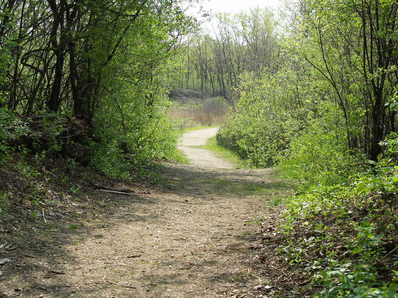 Hollows Conservation Area - Photo courtesy of McHenry County Conservation District