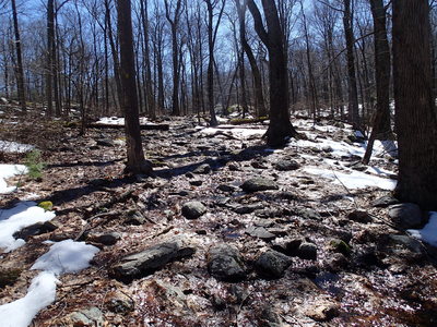 Trail is very rocky in many areas