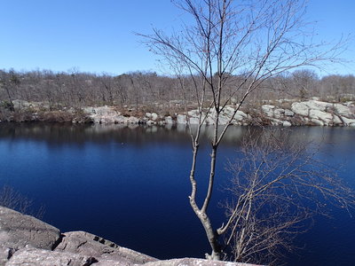 Terrace Pond